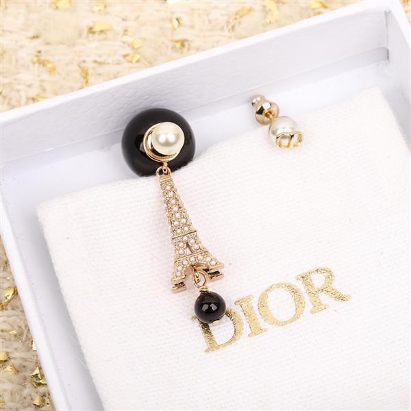 2024210155819108 100